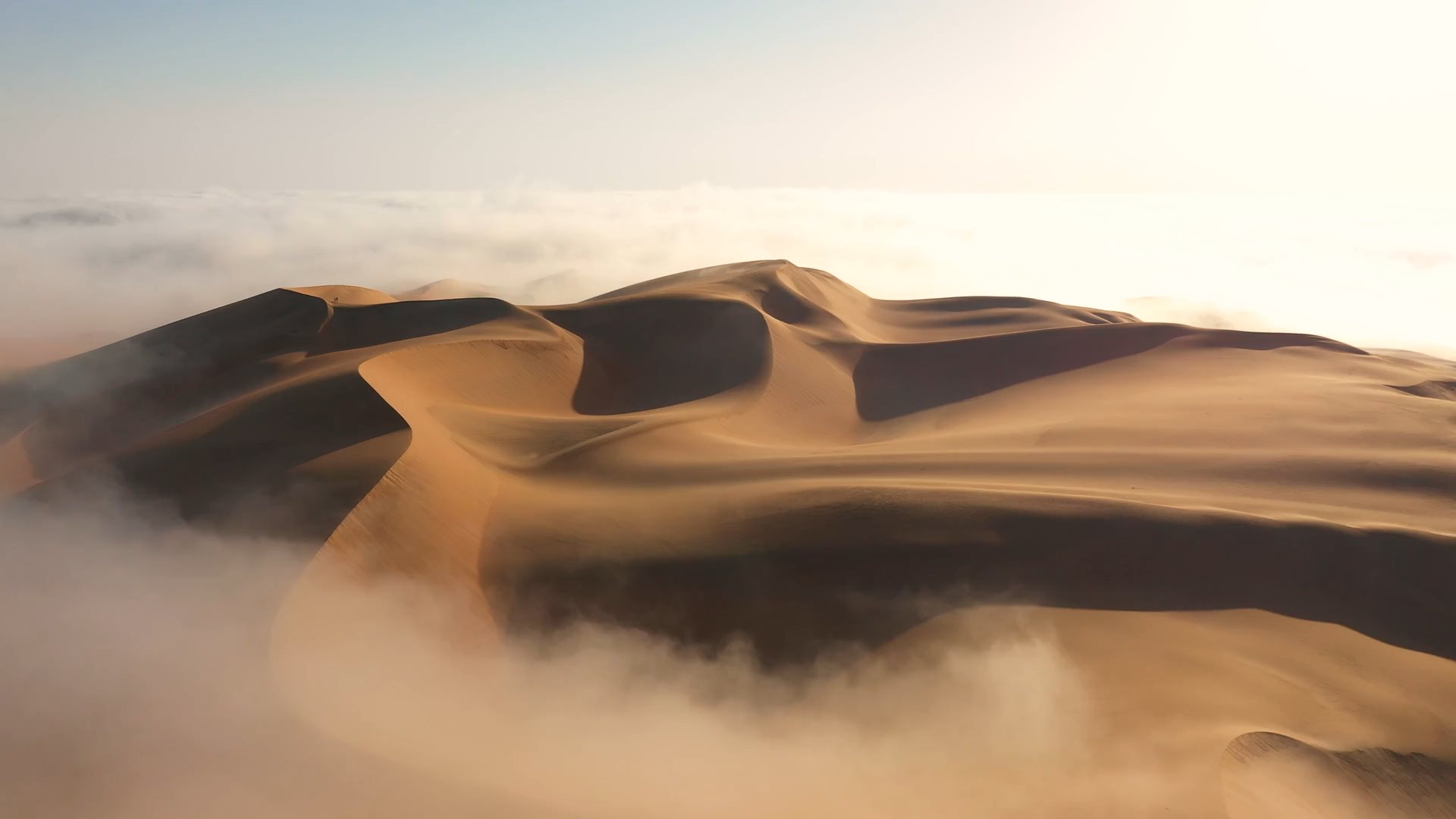 Video of the desert in the fog