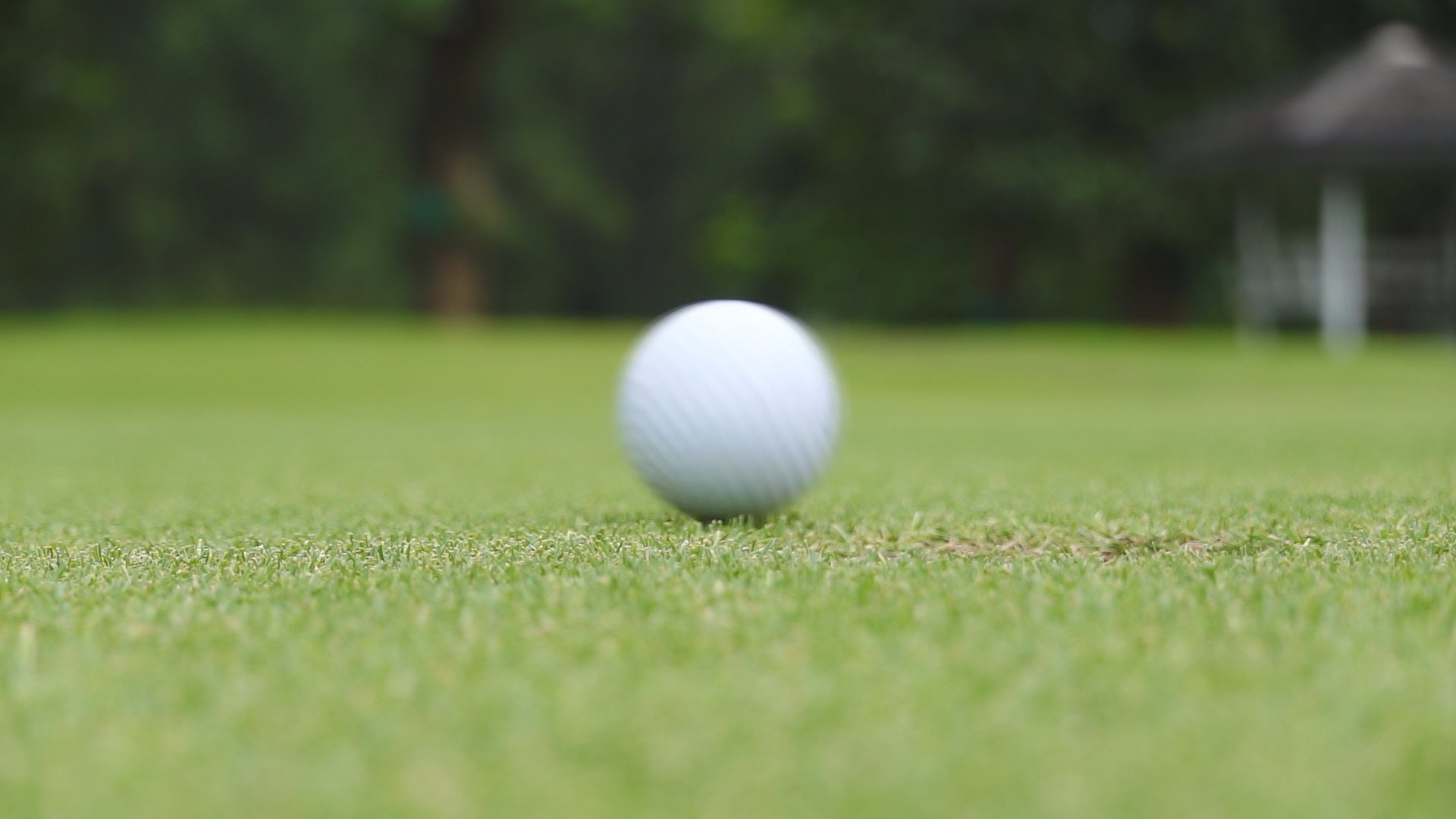 Video of a golf ball bouncing on the green and going in the hole