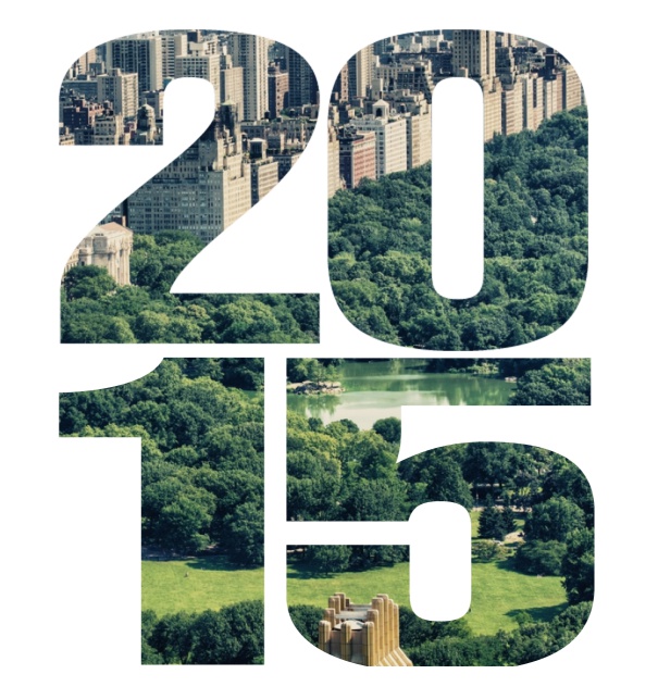 Online Einladungskarte groß mit ausgeschnittener 2015