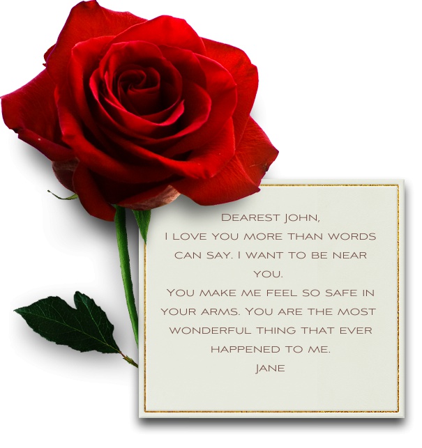 Online Valentins-Karte und Liebesbrief mit einer großen roten Rose und Karte.