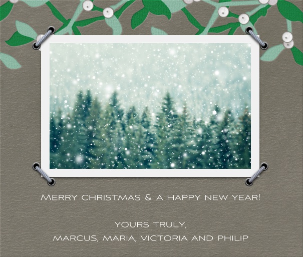 Weihnachtsfotokarte für Online Weihnachtskarten mit Fotorahmen, Textfeld und Mistelzweig.