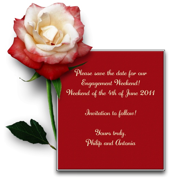 Blumen save the date Kartenvorlage in Rot mit weißem Rand und digitaler roter Rose.