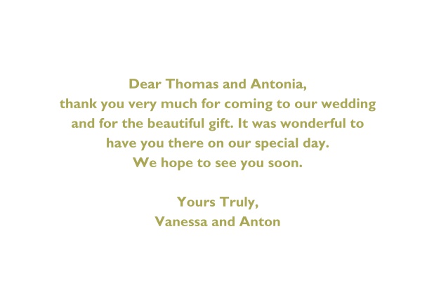 the hippo says thanks thank you cards