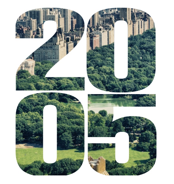 Online Einladungskarte groß mit ausgeschnittener 2005