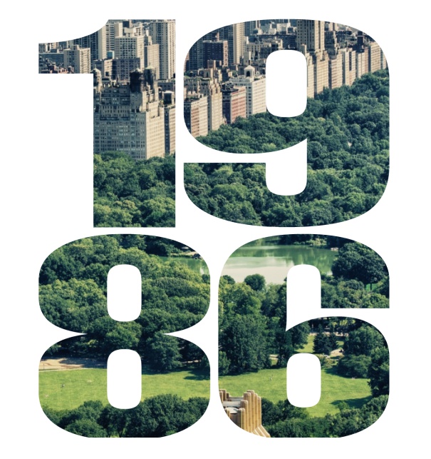 Online Einladungskarte mit ausgeschnittener 1986 für eigenes Foto Weiss.