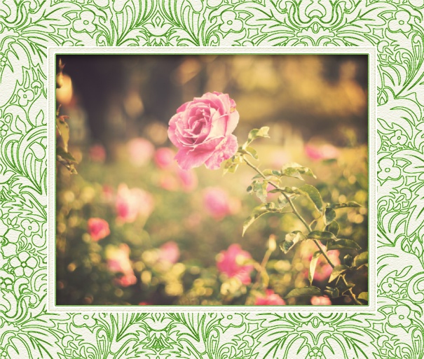 Fotokarte mit grünem Blumenrand und zweiter Seite mit anpassbarem Einladungstext.
