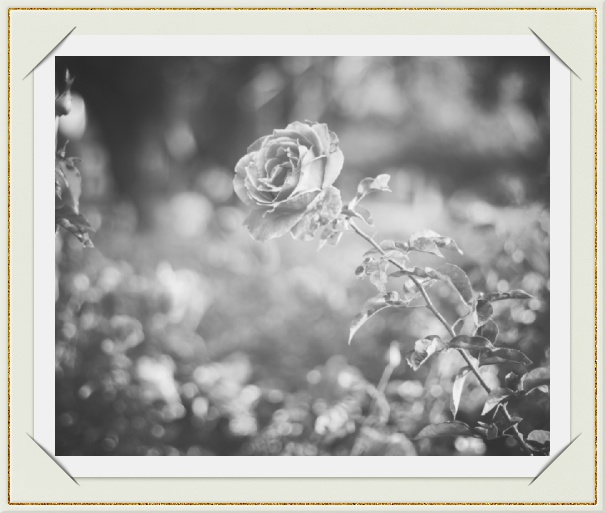 Fotokarte mit goldenem Rand und zweite Seite mit editierbarem Einladungstext.