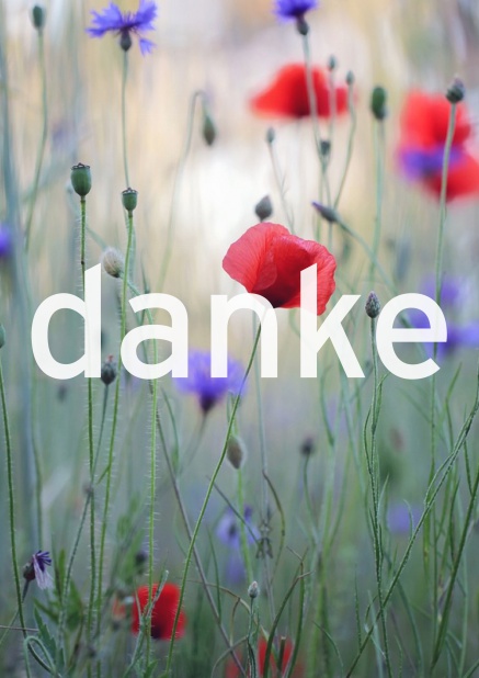 Online Dankeskarte mit schlichtem Wort "danke" auf Fotofeld. Rosa.