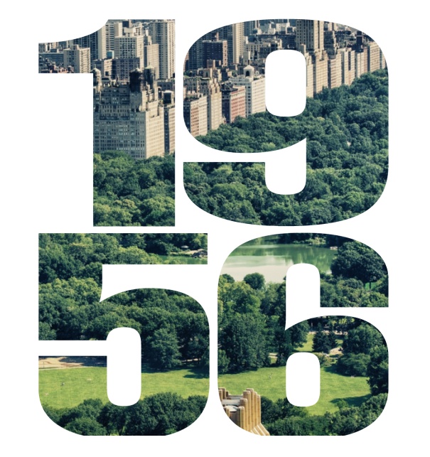 Online Einladungskarte mit ausgeschnittener 1956 für eigenes Foto Weiss.