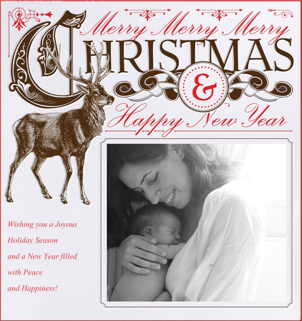 Christmas Card designed by Bell'Invito with Photo and Reindeer.