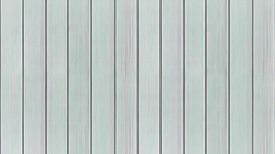 Green painted wooden fence Illustration of wooden fence painted green