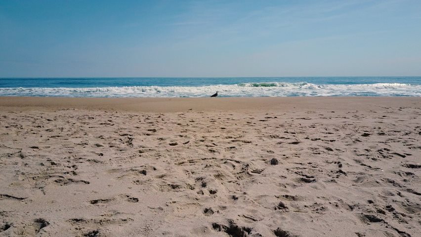 Video vom Strand in den Hamptons