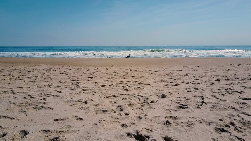 Video vom Strand in den Hamptons