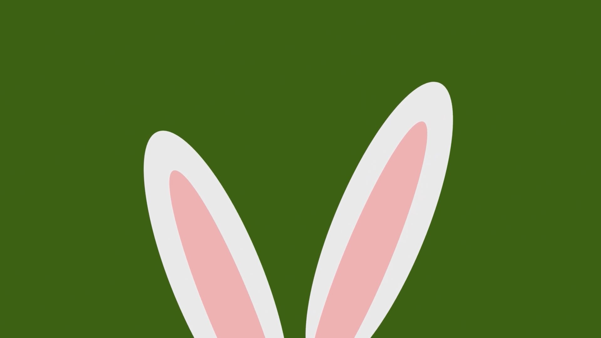 Video of Easter Bunny Ears