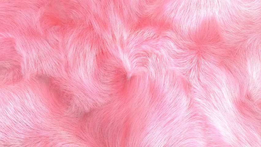 Video of cool pink fur moving in the wind