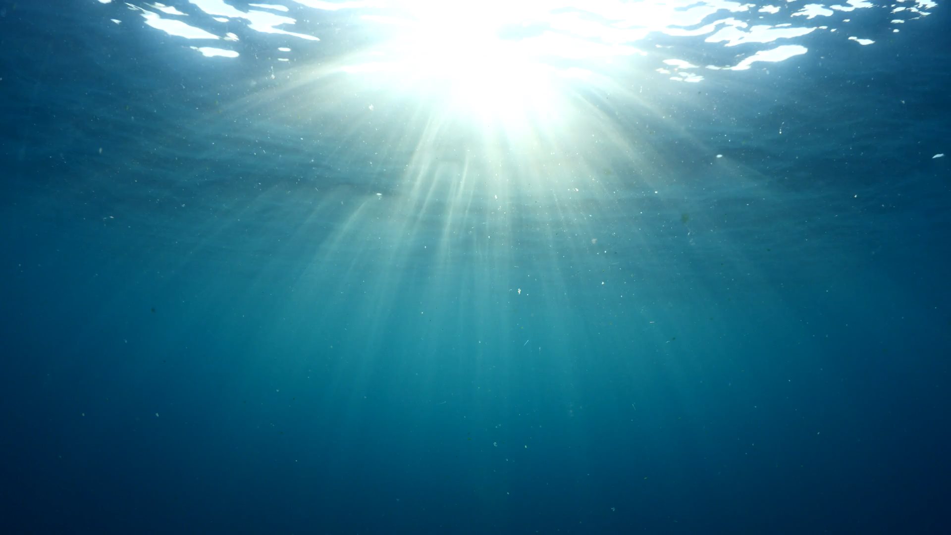 Video of light shining through water filmed from below