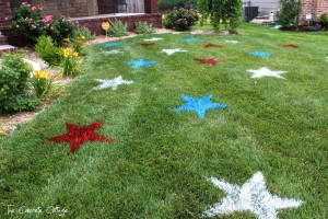 4th of July Painted Lawn Stars